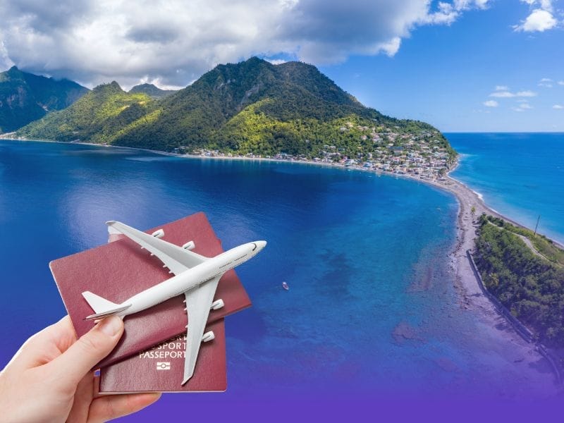 Caribbean citizenship by investment application process