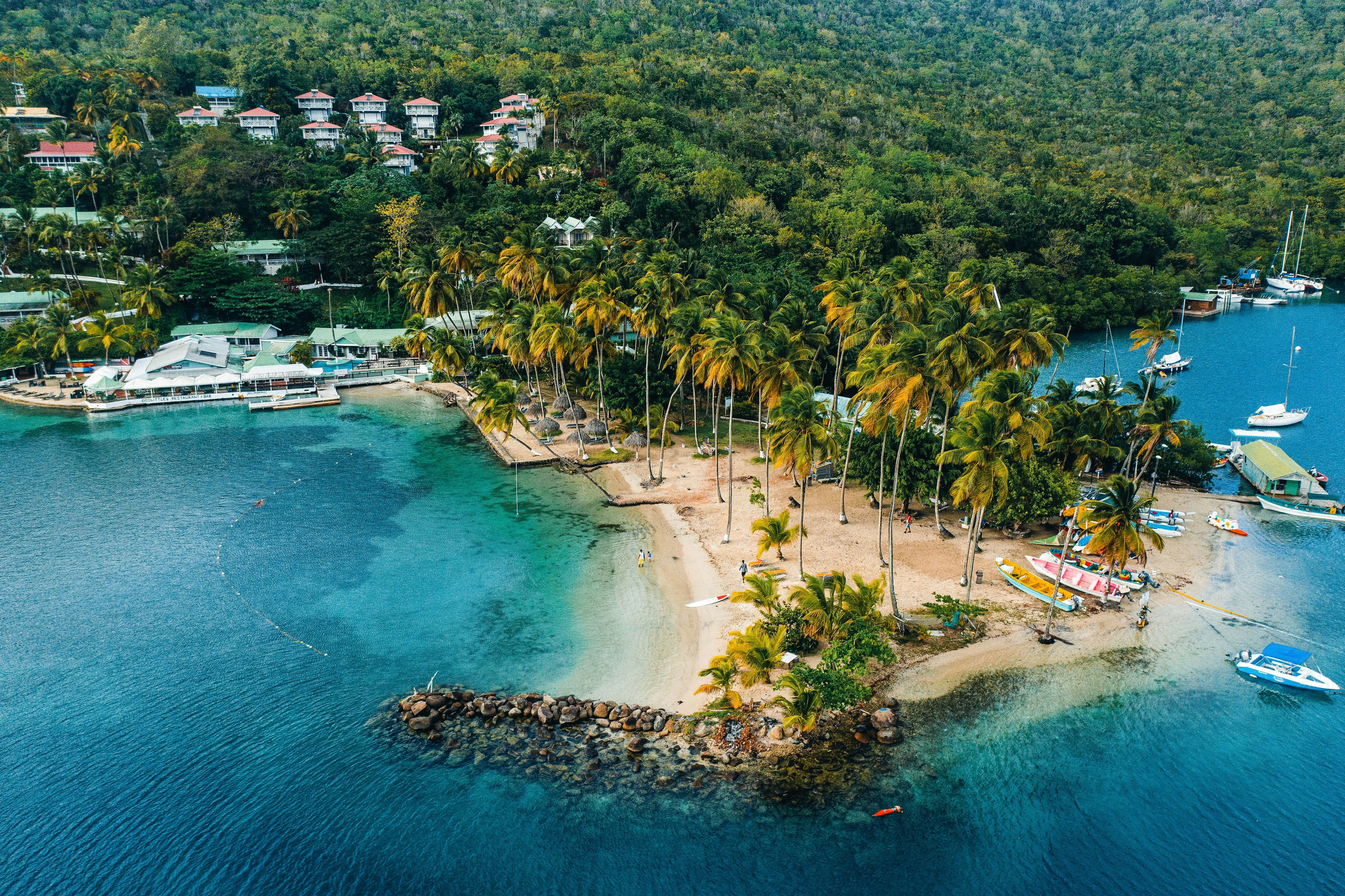 saint kitts and nevis shoreline